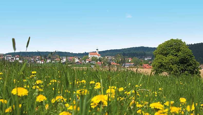 Image Slider 1